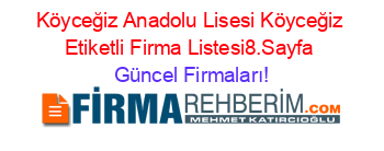 Köyceğiz+Anadolu+Lisesi+Köyceğiz+Etiketli+Firma+Listesi8.Sayfa Güncel+Firmaları!