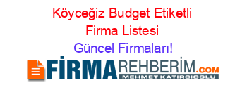 Köyceğiz+Budget+Etiketli+Firma+Listesi Güncel+Firmaları!