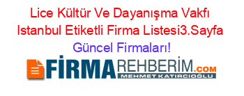 Lice+Kültür+Ve+Dayanışma+Vakfı+Istanbul+Etiketli+Firma+Listesi3.Sayfa Güncel+Firmaları!