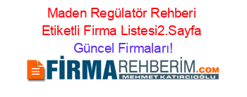 Maden+Regülatör+Rehberi+Etiketli+Firma+Listesi2.Sayfa Güncel+Firmaları!