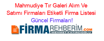 Mahmudiye+Tır+Galeri+Alım+Ve+Satımı+Firmaları+Etiketli+Firma+Listesi Güncel+Firmaları!