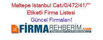 Maltepe+Istanbul+Catı/0/472/41/””+Etiketli+Firma+Listesi Güncel+Firmaları!