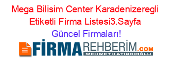 Mega+Bilisim+Center+Karadenizeregli+Etiketli+Firma+Listesi3.Sayfa Güncel+Firmaları!