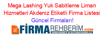 Mega+Lashing+Yuk+Sabitleme+Liman+Hizmetleri+Akdeniz+Etiketli+Firma+Listesi Güncel+Firmaları!