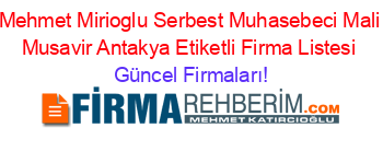 Mehmet+Mirioglu+Serbest+Muhasebeci+Mali+Musavir+Antakya+Etiketli+Firma+Listesi Güncel+Firmaları!