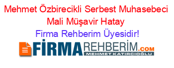 Mehmet+Özbirecikli+Serbest+Muhasebeci+Mali+Müşavir+Hatay Firma+Rehberim+Üyesidir!