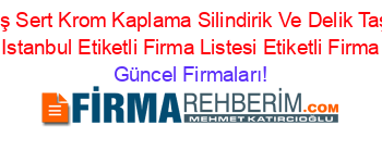 Mektaş+Sert+Krom+Kaplama+Silindirik+Ve+Delik+Taşlama+Sanayi+Istanbul+Etiketli+Firma+Listesi+Etiketli+Firma+Listesi Güncel+Firmaları!