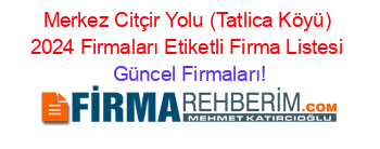 Merkez+Citçir+Yolu+(Tatlica+Köyü)+2024+Firmaları+Etiketli+Firma+Listesi Güncel+Firmaları!