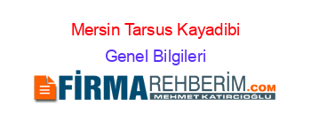 Mersin+Tarsus+Kayadibi Genel+Bilgileri