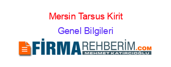 Mersin+Tarsus+Kirit Genel+Bilgileri