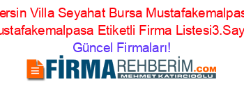 Mersin+Villa+Seyahat+Bursa+Mustafakemalpasa+Mustafakemalpasa+Etiketli+Firma+Listesi3.Sayfa Güncel+Firmaları!