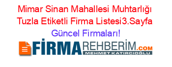 Mimar+Sinan+Mahallesi+Muhtarlığı+Tuzla+Etiketli+Firma+Listesi3.Sayfa Güncel+Firmaları!