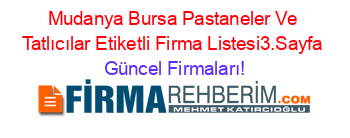 Mudanya+Bursa+Pastaneler+Ve+Tatlıcılar+Etiketli+Firma+Listesi3.Sayfa Güncel+Firmaları!