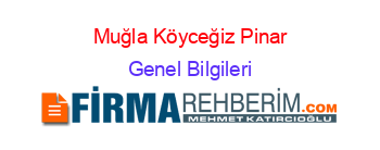 Muğla+Köyceğiz+Pinar Genel+Bilgileri