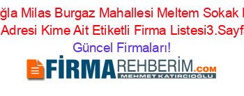 Muğla+Milas+Burgaz+Mahallesi+Meltem+Sokak+No+4+Adresi+Kime+Ait+Etiketli+Firma+Listesi3.Sayfa Güncel+Firmaları!