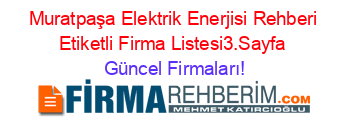 Muratpaşa+Elektrik+Enerjisi+Rehberi+Etiketli+Firma+Listesi3.Sayfa Güncel+Firmaları!