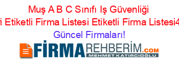 Muş+A+B+C+Sınıfı+Iş+Güvenliği+Rehberi+Etiketli+Firma+Listesi+Etiketli+Firma+Listesi4.Sayfa Güncel+Firmaları!