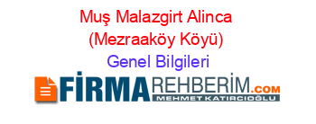 Muş+Malazgirt+Alinca+(Mezraaköy+Köyü) Genel+Bilgileri