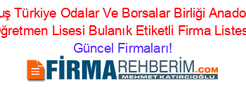 Muş+Türkiye+Odalar+Ve+Borsalar+Birliği+Anadolu+Oğretmen+Lisesi+Bulanık+Etiketli+Firma+Listesi Güncel+Firmaları!