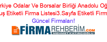 Muş+Türkiye+Odalar+Ve+Borsalar+Birliği+Anadolu+Oğretmen+Lisesi+Muş+Etiketli+Firma+Listesi3.Sayfa+Etiketli+Firma+Listesi Güncel+Firmaları!