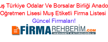 Muş+Türkiye+Odalar+Ve+Borsalar+Birliği+Anadolu+Oğretmen+Lisesi+Muş+Etiketli+Firma+Listesi Güncel+Firmaları!