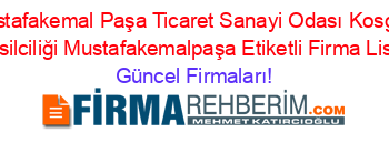 Mustafakemal+Paşa+Ticaret+Sanayi+Odası+Kosgeb+Temsilciliği+Mustafakemalpaşa+Etiketli+Firma+Listesi Güncel+Firmaları!