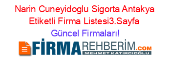 Narin+Cuneyidoglu+Sigorta+Antakya+Etiketli+Firma+Listesi3.Sayfa Güncel+Firmaları!