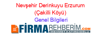 Nevşehir+Derinkuyu+Erzurum+(Çakilli+Köyü) Genel+Bilgileri