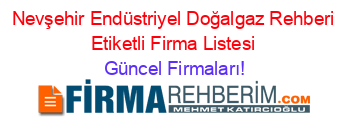 Nevşehir+Endüstriyel+Doğalgaz+Rehberi+Etiketli+Firma+Listesi Güncel+Firmaları!