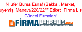 Nilüfer+Bursa+Esnaf+(Bakkal,+Market,+Kuruyemiş,+Manav)/228/22/””+Etiketli+Firma+Listesi Güncel+Firmaları!