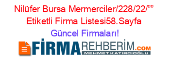 Nilüfer+Bursa+Mermerciler/228/22/””+Etiketli+Firma+Listesi58.Sayfa Güncel+Firmaları!