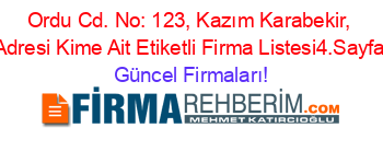 Ordu+Cd.+No:+123,+Kazım+Karabekir,+Adresi+Kime+Ait+Etiketli+Firma+Listesi4.Sayfa Güncel+Firmaları!