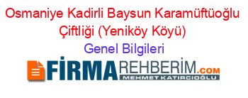 Osmaniye+Kadirli+Baysun+Karamüftüoğlu+Çiftliği+(Yeniköy+Köyü) Genel+Bilgileri