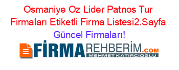 Osmaniye+Oz+Lider+Patnos+Tur+Firmaları+Etiketli+Firma+Listesi2.Sayfa Güncel+Firmaları!