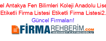 Ozel+Antakya+Fen+Bilimleri+Koleji+Anadolu+Lisesi+Hatay+Etiketli+Firma+Listesi+Etiketli+Firma+Listesi2.Sayfa Güncel+Firmaları!