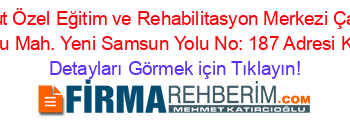 Özel+Aycan+Umut+Özel+Eğitim+ve+Rehabilitasyon+Merkezi+Çarşamba+Şubesi+Sungurlu+Mah.+Yeni+Samsun+Yolu+No:+187+Adresi+Kime+Ait Detayları+Görmek+için+Tıklayın!