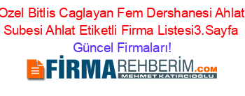 Ozel+Bitlis+Caglayan+Fem+Dershanesi+Ahlat+Subesi+Ahlat+Etiketli+Firma+Listesi3.Sayfa Güncel+Firmaları!