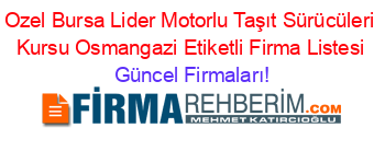 Ozel+Bursa+Lider+Motorlu+Taşıt+Sürücüleri+Kursu+Osmangazi+Etiketli+Firma+Listesi Güncel+Firmaları!