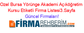 Ozel+Bursa+Yörünge+Akademi+Açıköğretim+Kursu+Etiketli+Firma+Listesi3.Sayfa Güncel+Firmaları!