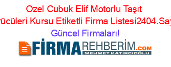Ozel+Cubuk+Elif+Motorlu+Taşıt+Sürücüleri+Kursu+Etiketli+Firma+Listesi2404.Sayfa Güncel+Firmaları!