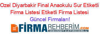 Ozel+Diyarbakir+Final+Anaokulu+Sur+Etiketli+Firma+Listesi+Etiketli+Firma+Listesi Güncel+Firmaları!