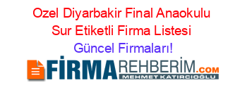 Ozel+Diyarbakir+Final+Anaokulu+Sur+Etiketli+Firma+Listesi Güncel+Firmaları!