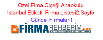 Ozel+Elma+Ciçeği+Anaokulu+Istanbul+Etiketli+Firma+Listesi2.Sayfa Güncel+Firmaları!