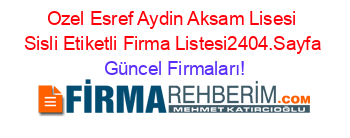 Ozel+Esref+Aydin+Aksam+Lisesi+Sisli+Etiketli+Firma+Listesi2404.Sayfa Güncel+Firmaları!