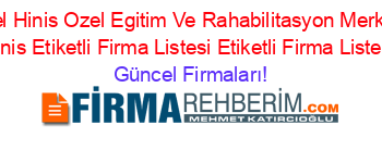 Ozel+Hinis+Ozel+Egitim+Ve+Rahabilitasyon+Merkezi+Hinis+Etiketli+Firma+Listesi+Etiketli+Firma+Listesi Güncel+Firmaları!