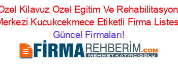 Ozel+Kilavuz+Ozel+Egitim+Ve+Rehabilitasyon+Merkezi+Kucukcekmece+Etiketli+Firma+Listesi Güncel+Firmaları!