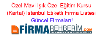 Özel+Mavi+Işık+Özel+Eğitim+Kursu+(Kartal)+Istanbul+Etiketli+Firma+Listesi Güncel+Firmaları!