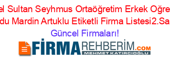Ozel+Sultan+Seyhmus+Ortaöğretim+Erkek+Oğrenci+Yurdu+Mardin+Artuklu+Etiketli+Firma+Listesi2.Sayfa Güncel+Firmaları!