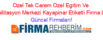 Ozel+Tek+Carem+Ozel+Egitim+Ve+Rehabilitasyon+Merkezi+Kayapinar+Etiketli+Firma+Listesi Güncel+Firmaları!