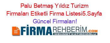 Palu+Betmaş+Yıldız+Turizm+Firmaları+Etiketli+Firma+Listesi5.Sayfa Güncel+Firmaları!